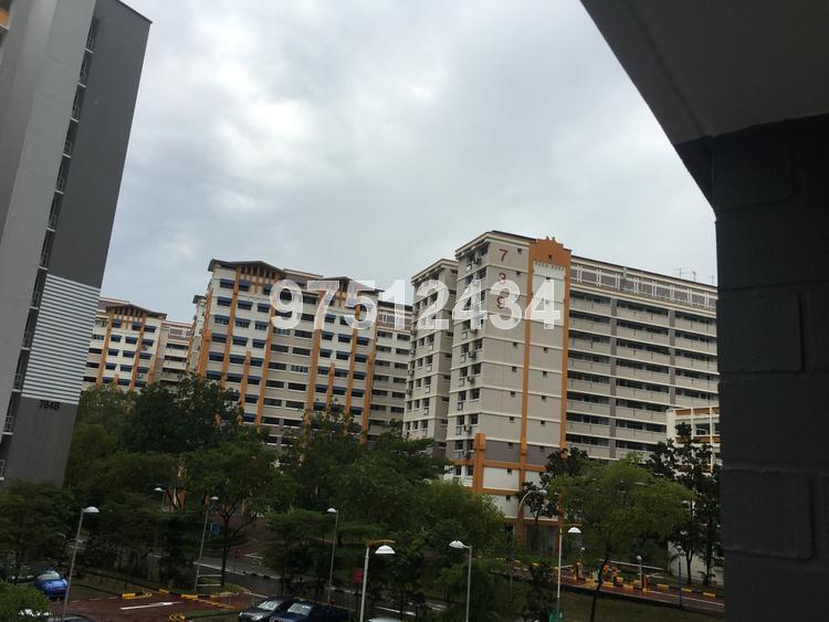 Blk 764 Woodlands Circle (Woodlands), HDB 5 Rooms #141628652